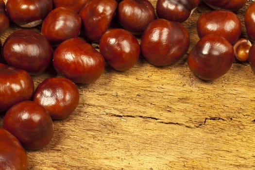 Autumnal background of numerous horse chestnuts on old tree bark