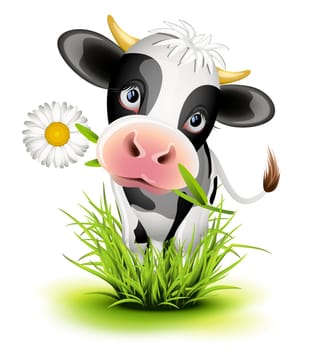 Cute Holstein cow in green grass