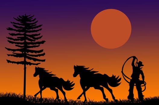Cowboy and wild horses