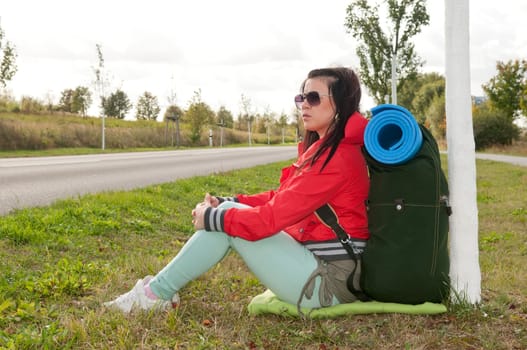Roadside hitchhiker