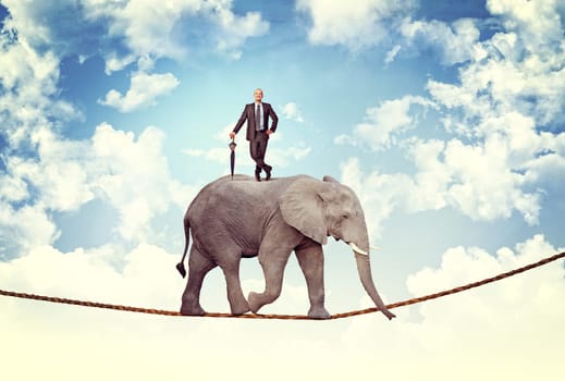 man with umbrella on acrobat elephant