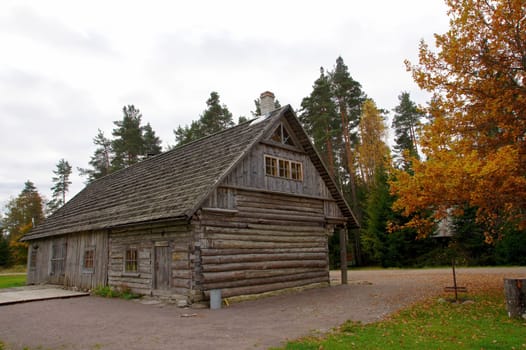 The old wooden house on a background of trees