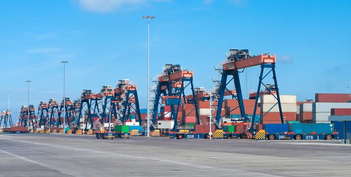 container terminal in the Rotterdam harbor