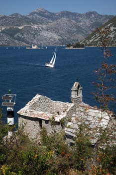Kotor