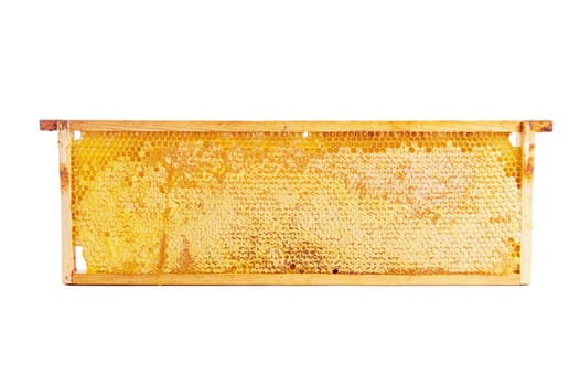 wooden frame with honeycomb full of honey, isolated on white