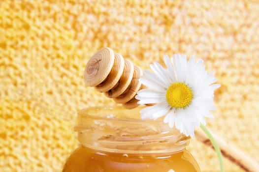 jar of honey on the background of honeycombs