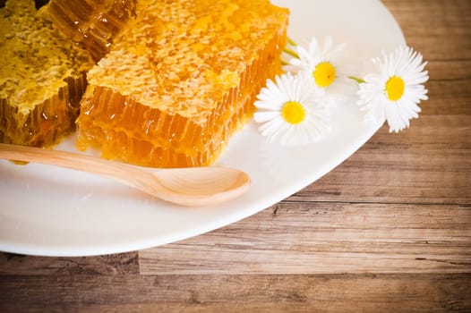 honeycomb with daisies on white plate