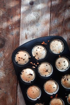 Overhead view of a baking tray with freshly baked muffins from the oven cooling on an old wooden surface with copyspace