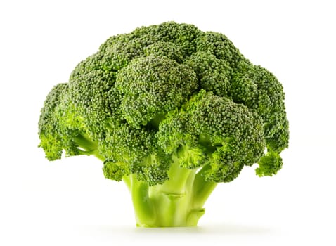 Broccoli isolated on white