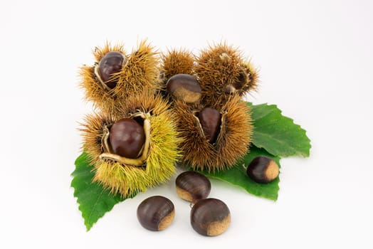 fruits