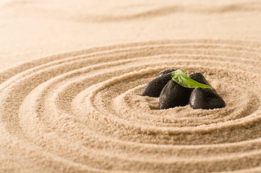 Spa still nature zen stones and leaf in sand