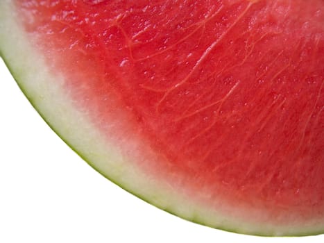 Melon 04