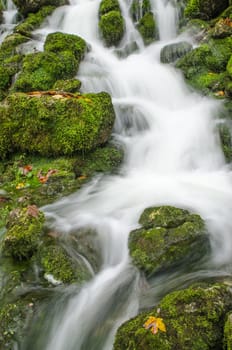Running water at a spring in the mountains near Ramsau in Bavaria