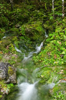 Glacier spring in Ramsau near Berchtesgaden