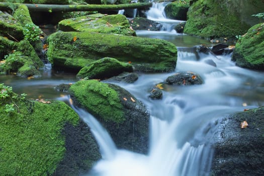Peaceful flowing stream in the forest (Czech Republic)