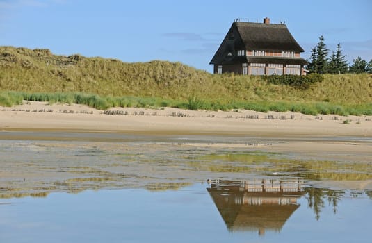 Thatched roof house