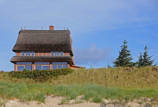 Thatched roof house