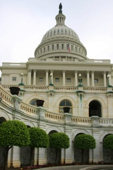 Portrait view of the Capitol Washington DC