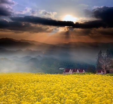 Amazing sunrise and mountain for adv or others purpose use