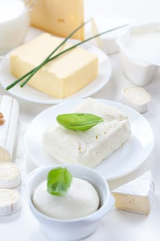 Assortment of dairy products on white background