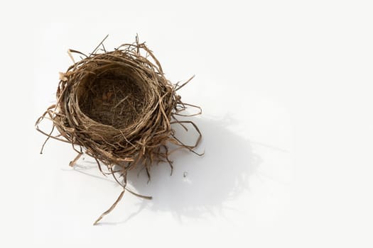 Empty bird nest on white background