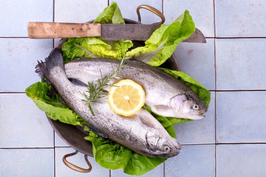 Prepare fresh fish in the kitchen