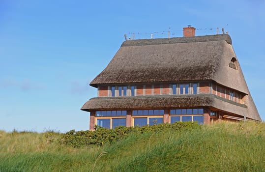 Thatched roof house
