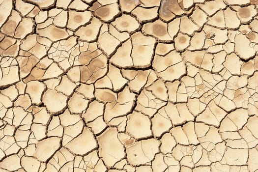 Detail of a cracked dry soil in water shortage time