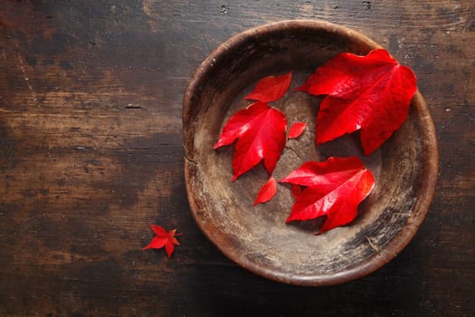 Beautiful deep red autumn leaves from a virgina creeper placed in a rustic pottery bowl on an old timber surface with copyspace