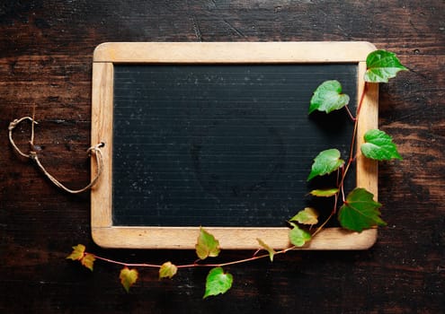 Trailing green leaves on a blank slate blackboard for your message, advertisement or menu with dark woodgrain textured timber boards as a backdrop