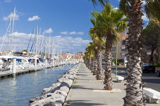 View of the palm-lined harbor promenade of Gruissan in southern France