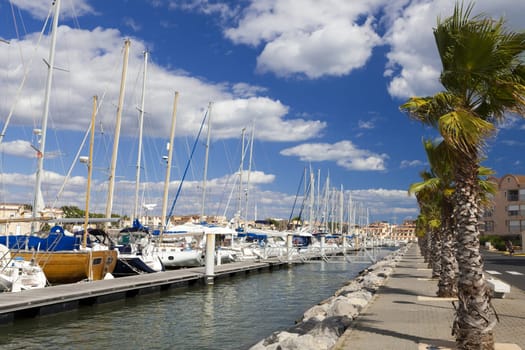 View of the palm-lined harbor promenade of Gruissan in southern France