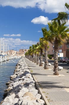 View of the palm-lined harbor promenade of Gruissan in southern France