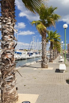 View of the palm-lined harbor promenade of Gruissan in southern France