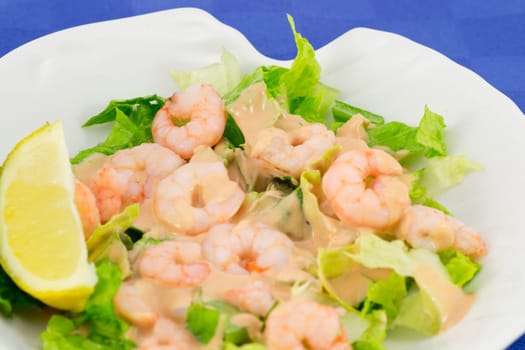 appetizer