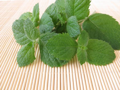 A bouquet of pineapple mint