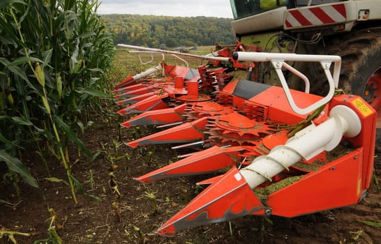 Harvesting corn