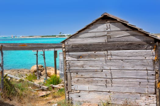 beach Illetas Illetes in Formentera near Ibiza with aqua water