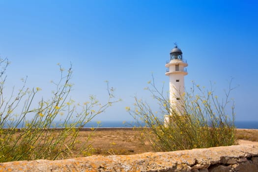 La Savina Sabina lighthouse in formentera at Balearic Islands