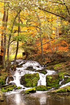 Waterfall in autumn light