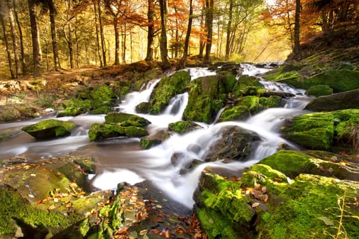 Waterfall in autumn light