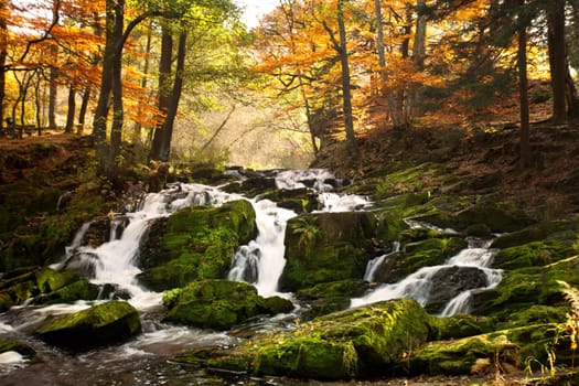 Waterfall in autumn light