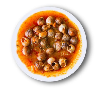 dish of snails prepared at spanish traditional mediterranean style