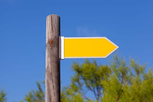 yellow copyspace arrow sign on wooden pole in a forest and blue sky