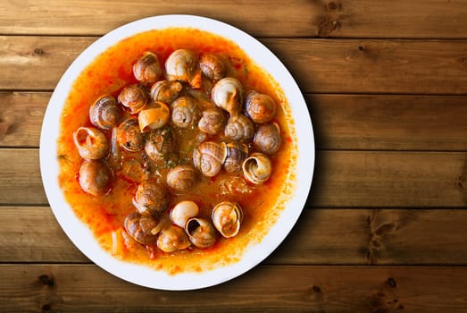 dish of snails prepared at spanish traditional mediterranean style