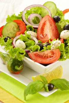 Composition with vegetable salad bowl