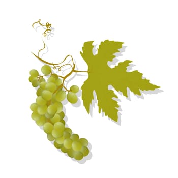 Grapes and leaf graphic, isolated and grouped objects over white background. Gradient mesh.