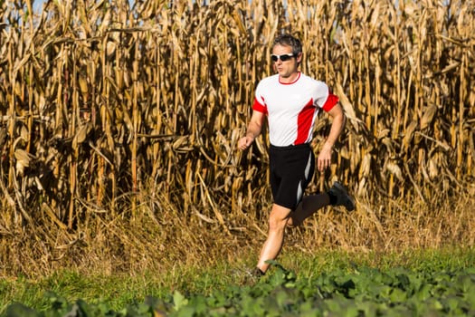 Joggers in competition