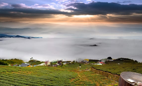 Alishan stone Zhuo Sunset, Taiwan. for adv or others purpose use