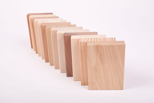 Samples of wood